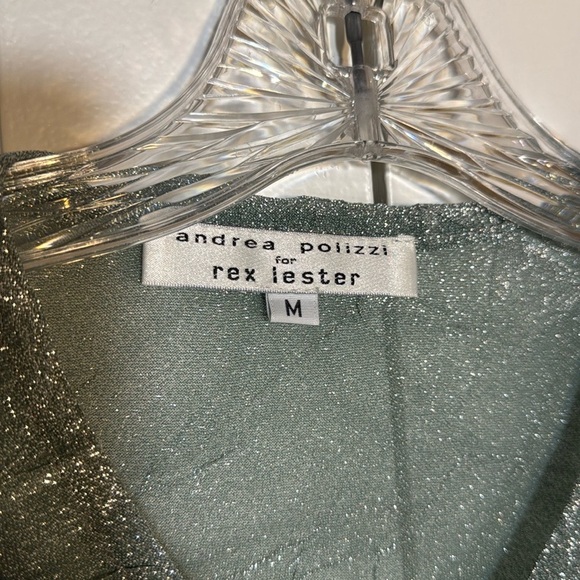 EUC Elegant Andrea Polizzi Silver Shimmering Long Sleeve Button Down Top Size M - Picture 3 of 7